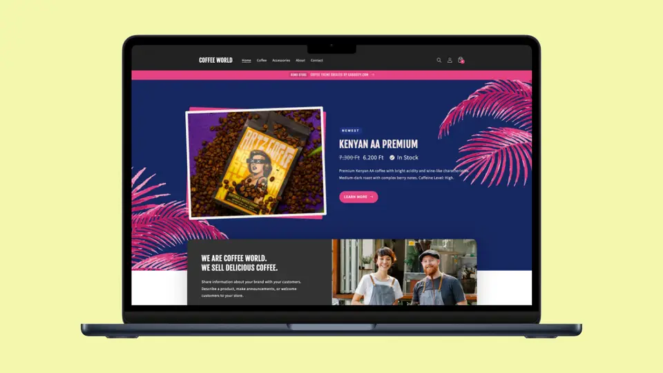 Shopify Theme Design & Implementation